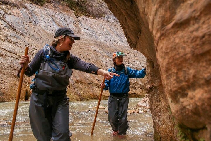 Zion Full Day Small Group Tour & Hike - with Narrows