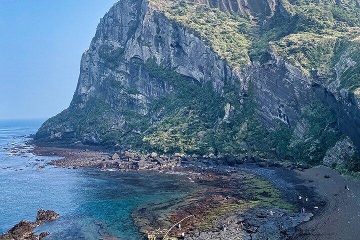 Eastern Jeju: All Inclusive Private Tour w/ Tangerine picking