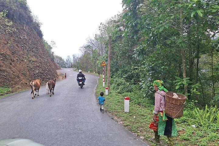 Best Choice Ha Giang Loop Car 3 Days 2 Nights Package Tour