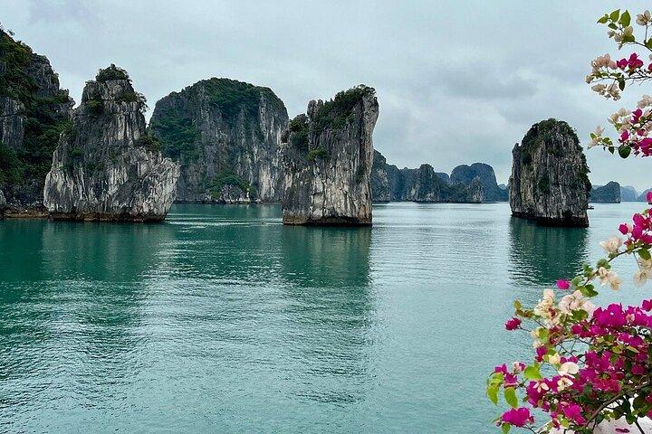 Renea Cruise Best Boutique Cruise 2 Days 1 Night in Bai Tu Long