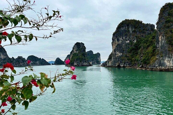 Explore Ninh Binh and Bai Tu Long Bay 2 Days 1 Night Tour