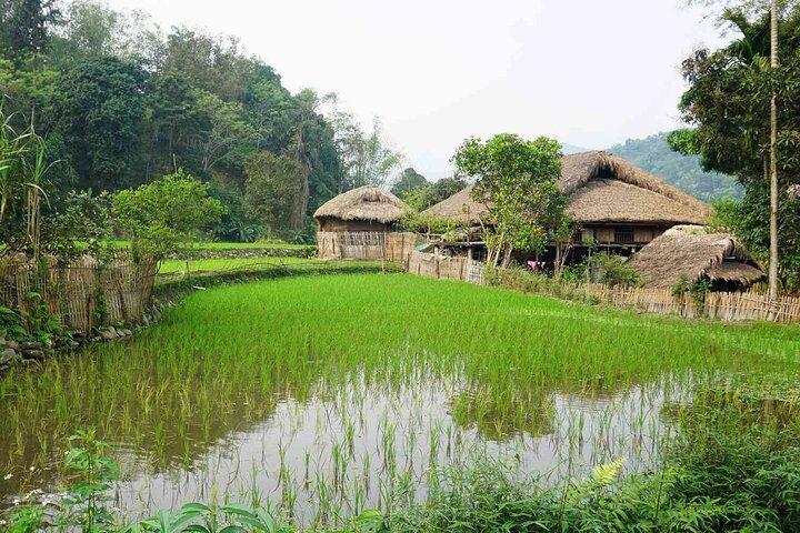 Package Ha Giang Loop Tour by Car 4 Days 3 Nights