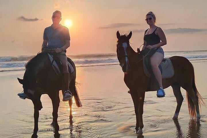 Bali Horse Riding Seminyak Beach Experience Private Transport