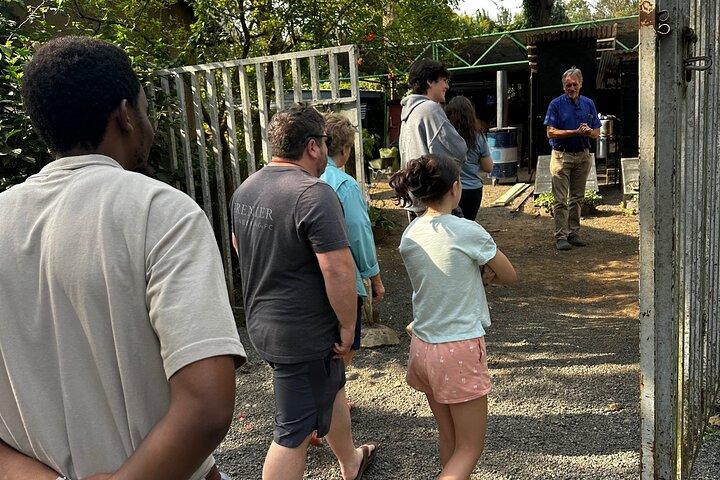 Guided Arusha Town Tour with Private Transportation