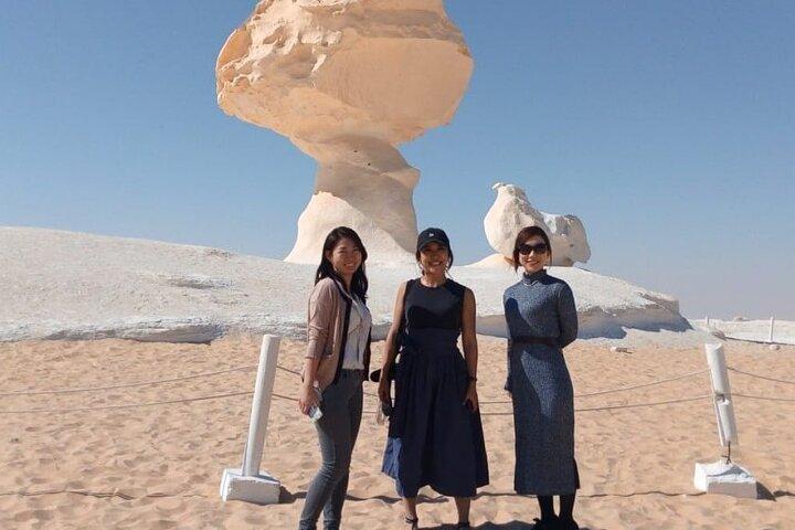Bahariya Oasis & Black and White Desert Day Trip from Cairo