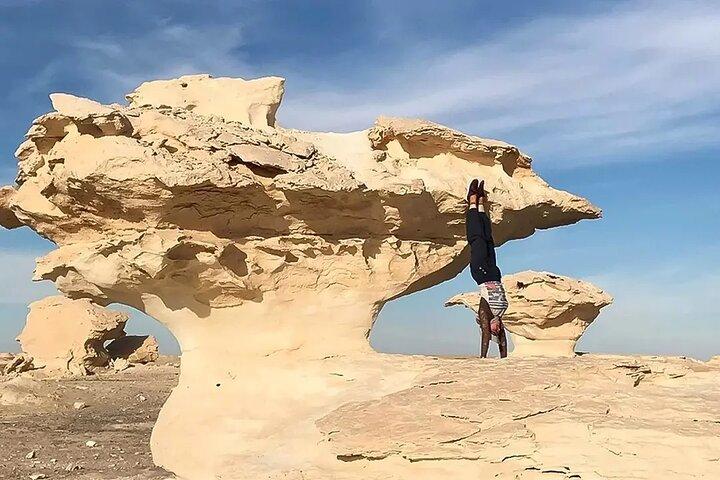 Bahariya Oasis & Black and White Desert Day Trip from Cairo