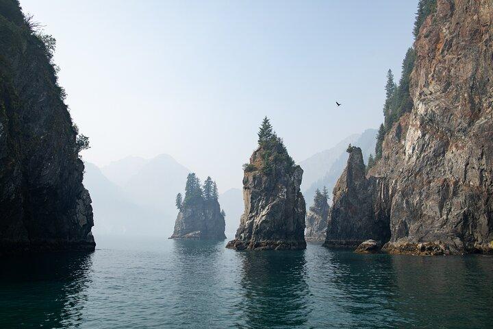 Kenai Fjords National Park Glacier & Wildlife Tour from Seward