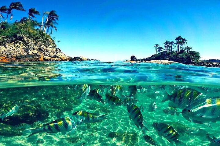 Full Day Tour to Angra dos Reis with Lunch