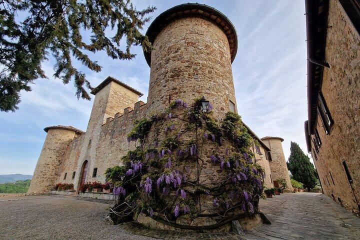 Private Wine Tour 2 top wineries of Chianti Classico Limo Service