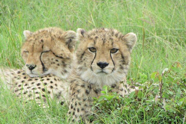 7 Days Kenya Adventure