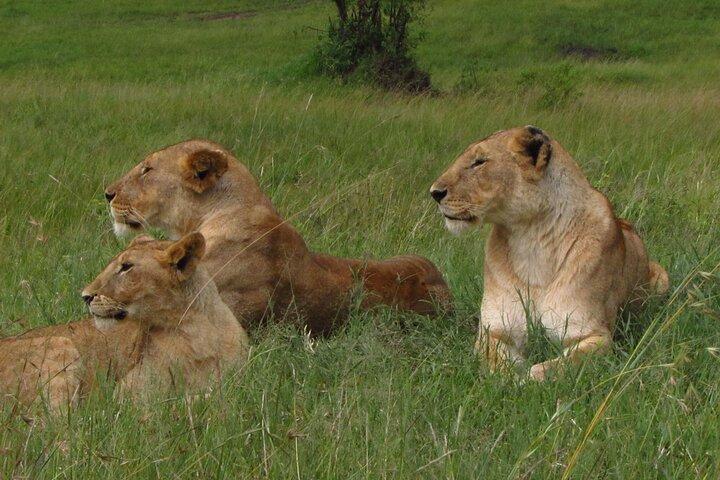 7 Days Kenya Adventure
