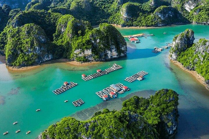 Ha Long Bay Day Cruise: Caves, Lunch & Kayaking from Hanoi