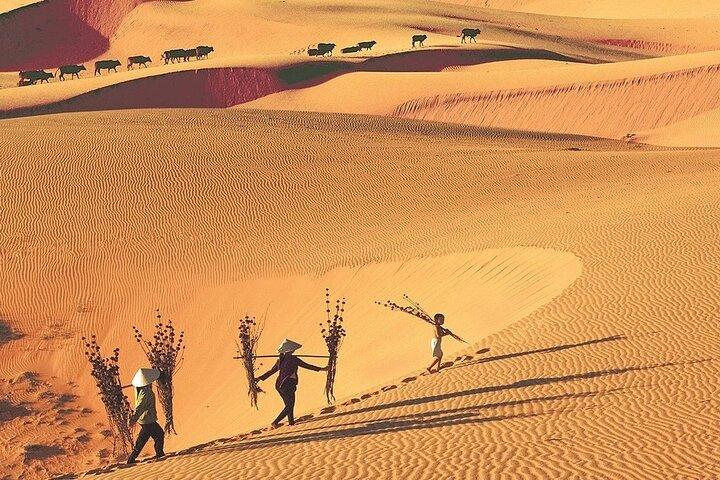 Discover Sunset Mui Ne: Fairy Stream, Fishing Village, Sand Dunes