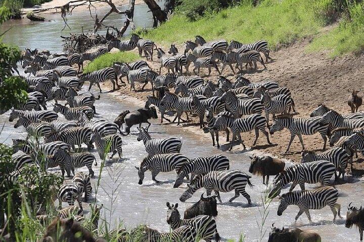 7 Days Kenya Safari Tour from Nairobi