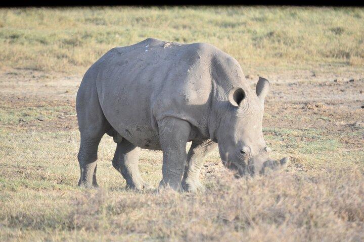 Explore Kenya: 5-Day Group Safari Adventure