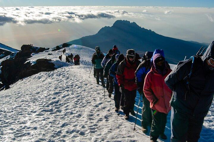 8 Days Guided Private Trekking in Mount Kilimanjaro