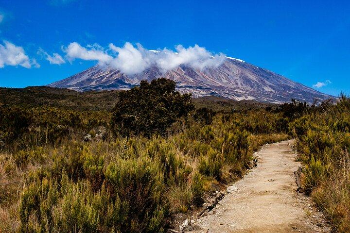 8 Days Guided Private Trekking in Mount Kilimanjaro