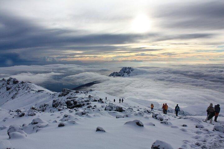8 Days Guided Private Trekking in Mount Kilimanjaro