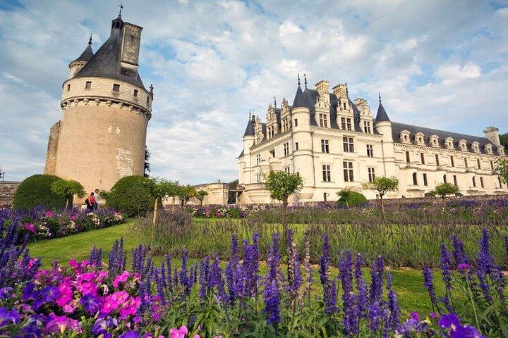 Loire Valley 3 Best Castles and Wine Tasting Private from Paris