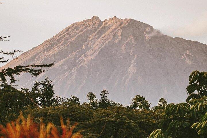 Hidden Arusha Waterfall, Village & Coffee Tour (All-Inclusive)