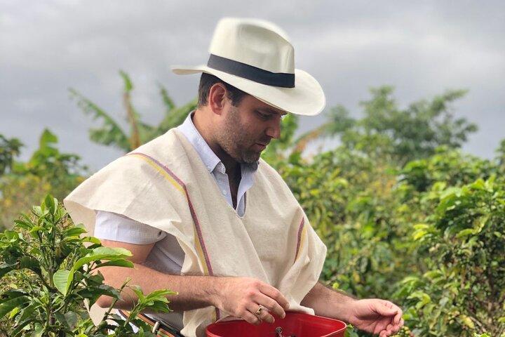 Medellin Coffee Farm Tour with Panoramic Cable Car Views