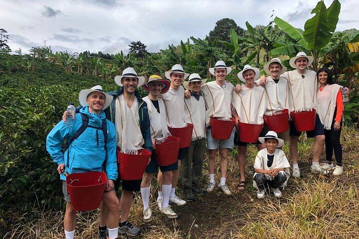 Medellin Coffee Farm Tour with Panoramic Cable Car Views