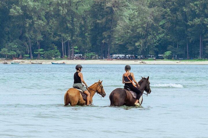 Beach Horseback Adventure in Phuket