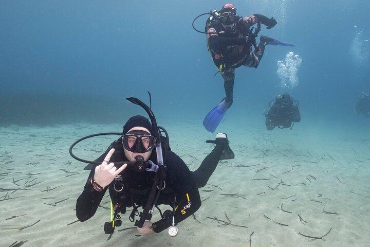 Guided SCUBA Diving for Certified Divers in Athens