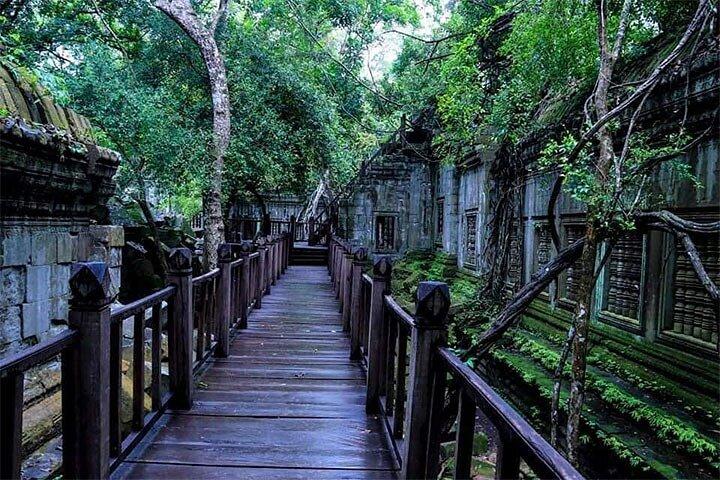 Beng Melea & Koh Ker Temples Small-Group Tour