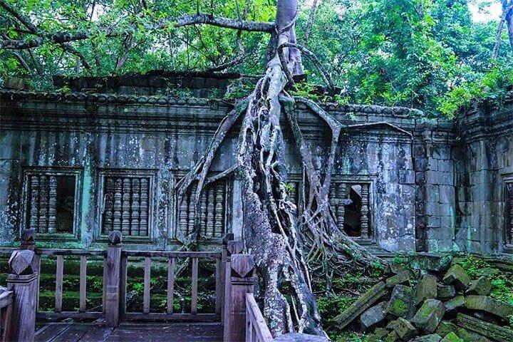 Beng Melea & Koh Ker Temples Small-Group Tour
