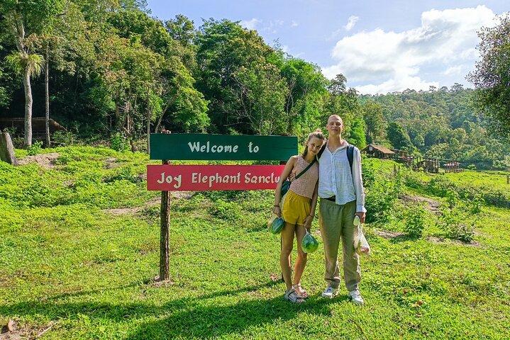 Chiang Mai: Thai Cooking Class and Elephant Sanctuary Observation