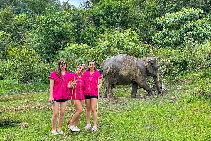 Chiang Mai Elephant Sanctuary Observation and Bamboo Rafting