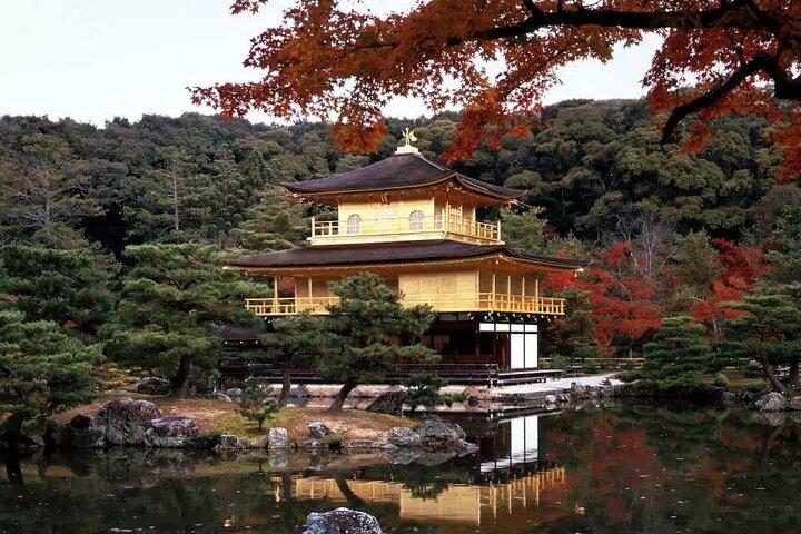 Arashiyama Kinkakuji Temple Nara Park Tour from Osaka and Kyoto