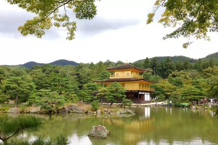 Arashiyama Kinkakuji Temple Nara Park Tour from Osaka and Kyoto