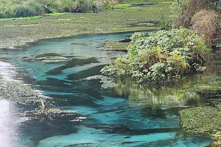 Private Tour Rotorua + Blue springs + WaiOtapu + Redwood forest