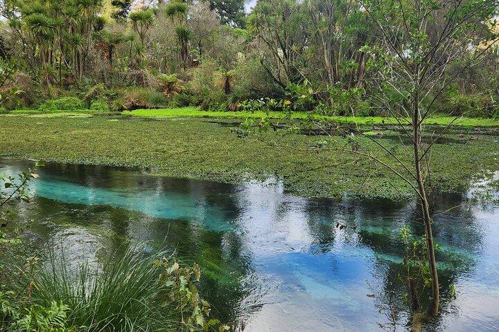 Private Tour Rotorua + Blue springs + WaiOtapu + Redwood forest