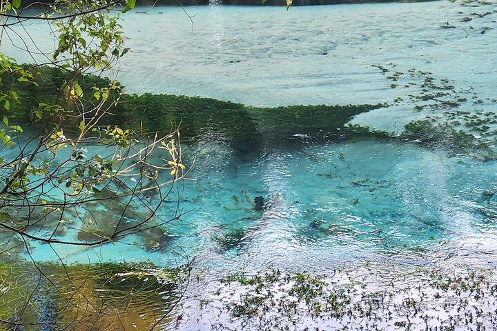 Private Tour Rotorua + Blue springs + WaiOtapu + Redwood forest