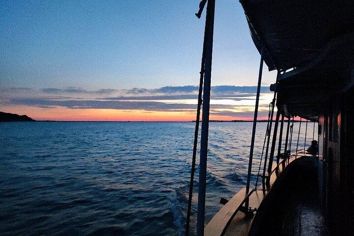 Dolphin & Sunset tour with Brijuni panorama and dinner