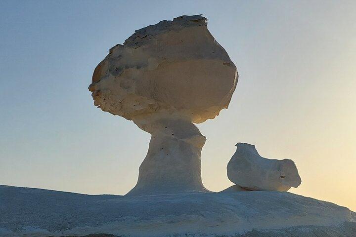 White Deserts stargazing safari from Cairo 2 Days 1 night camping
