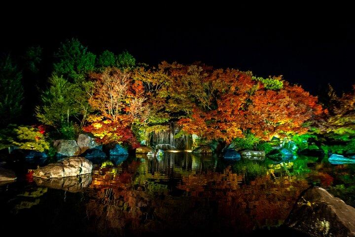 Private Customize Tour Himeji from Osaka