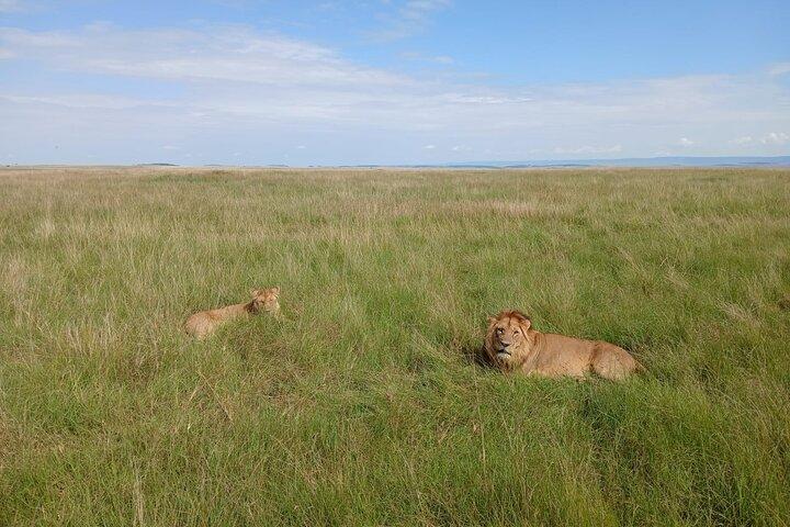 03 Days Wildlife and Nature Adventure in Masai Mara