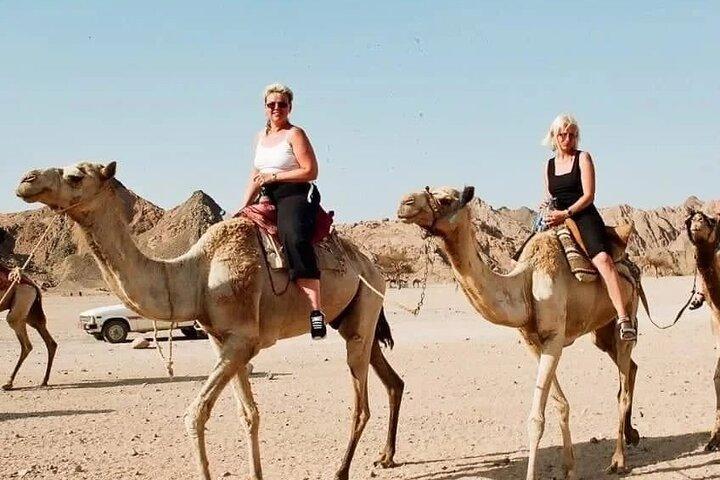 Hurghada Desert Safari, Stargazing, Bedouin Dinner & Jeep Tour