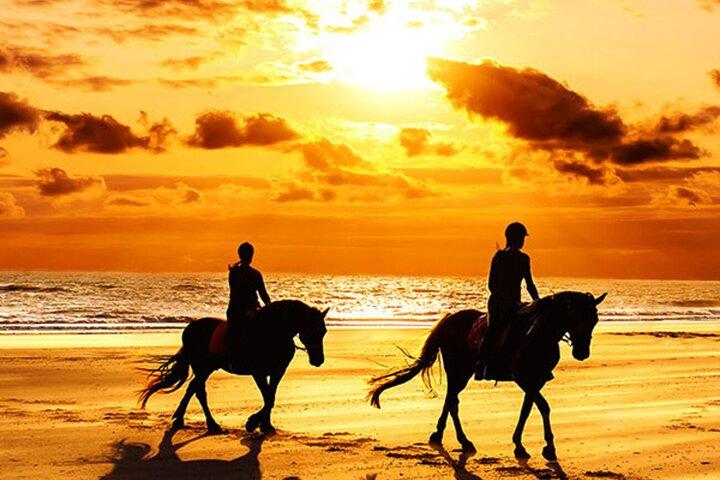 Taghazout & Agadir Beach Horse Riding Experience – Scenic Sunset