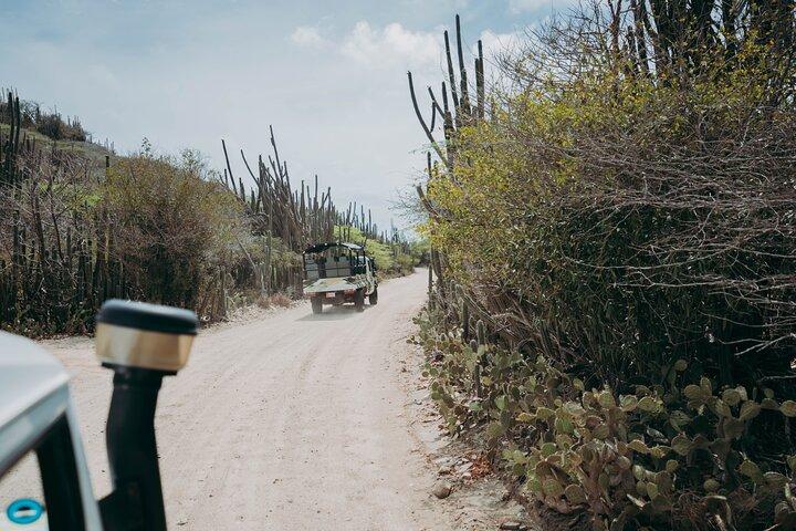 Aruba Signature Jeep Tour: Natural Pool and Baby Beach