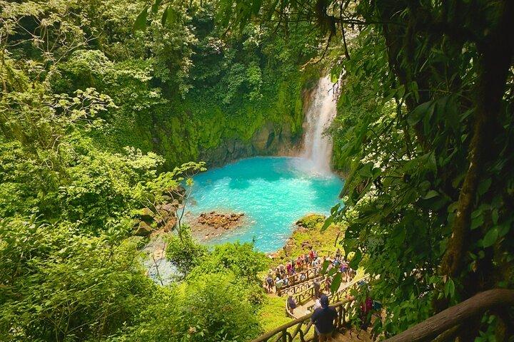 Rio Celeste Expedition – Sloths, Waterfalls & Nature's Magic