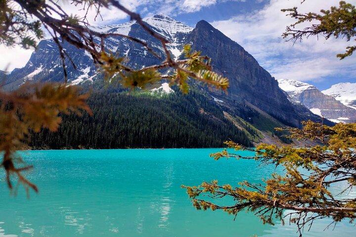 Lake Louise, Emerald Lake/ Moraine Lake Half Day Tour