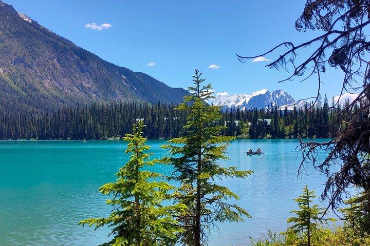 Peyto Lake, Bow Lake Lake Louise Moraine Lake Half Day Tour