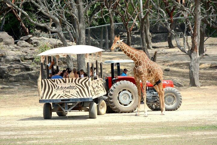 Day pass to Ponderosa Adventure Park