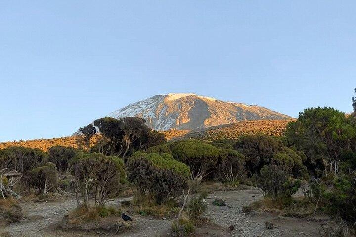 5 Days Kilimanjaro Trekking in Marangu Route