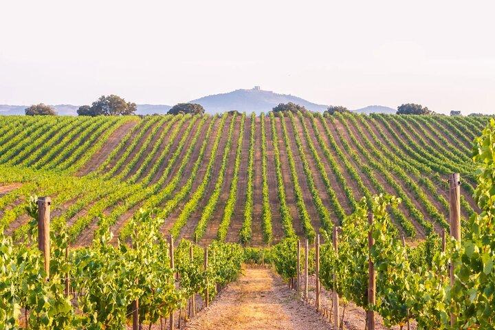 Private Tour to Discover Alentejo Wines